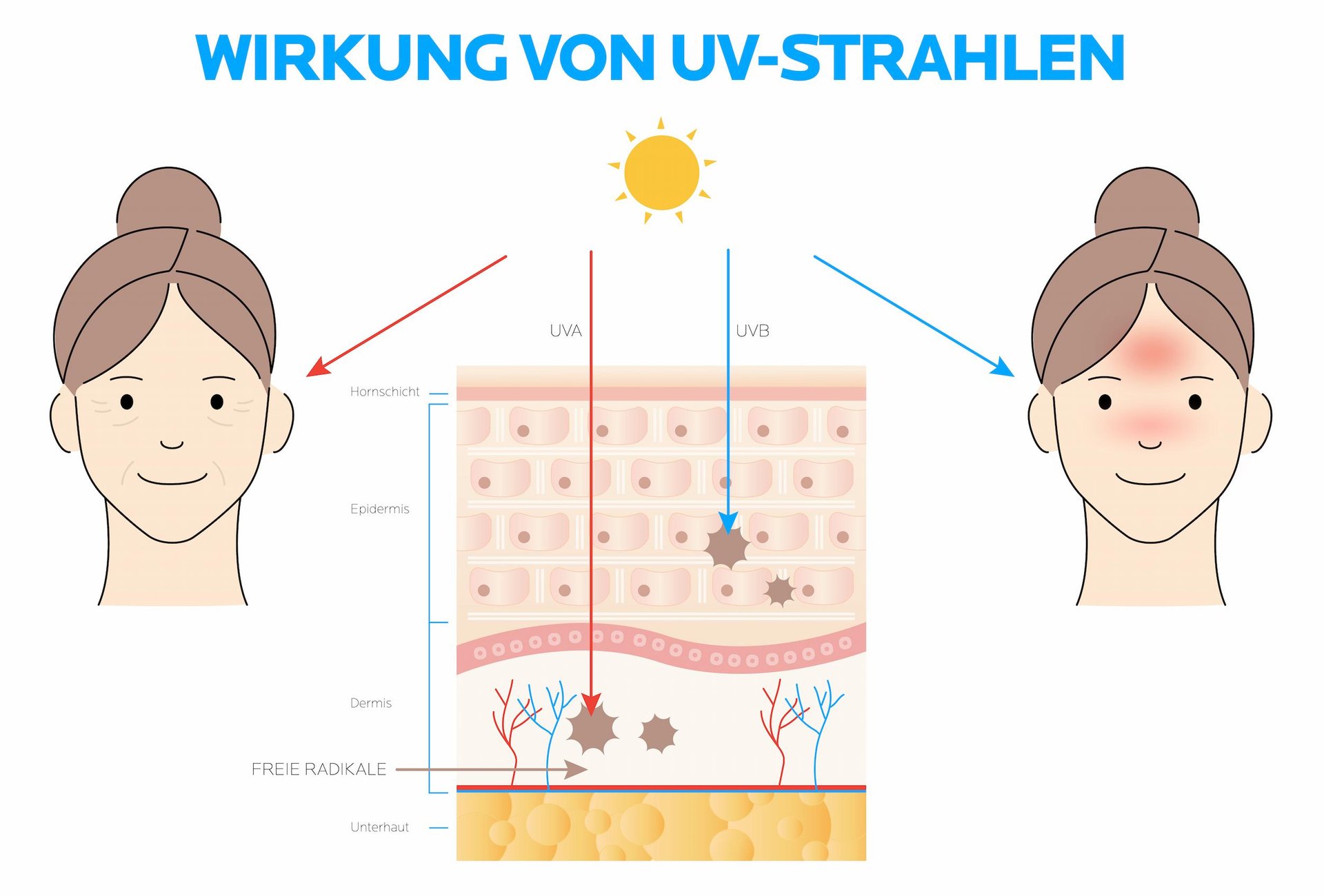 Grafik zeigt die Wirkung von UVA- und UVB-Strahlen in den Hautschichten.